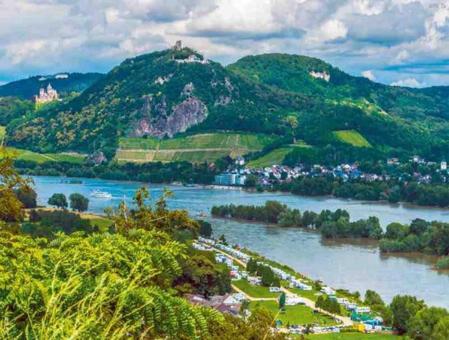 In Rheinnaehe