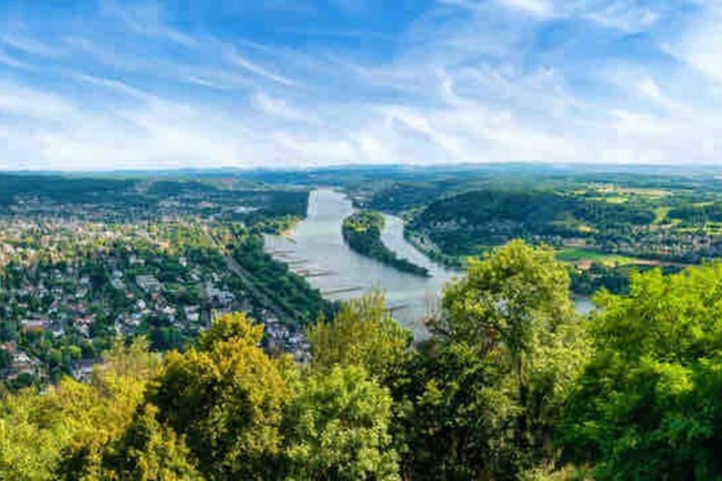 In Rheinnaehe Appartement *